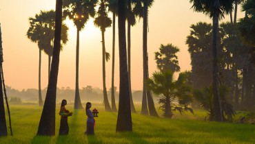 Bali-rizières-Amplitudes