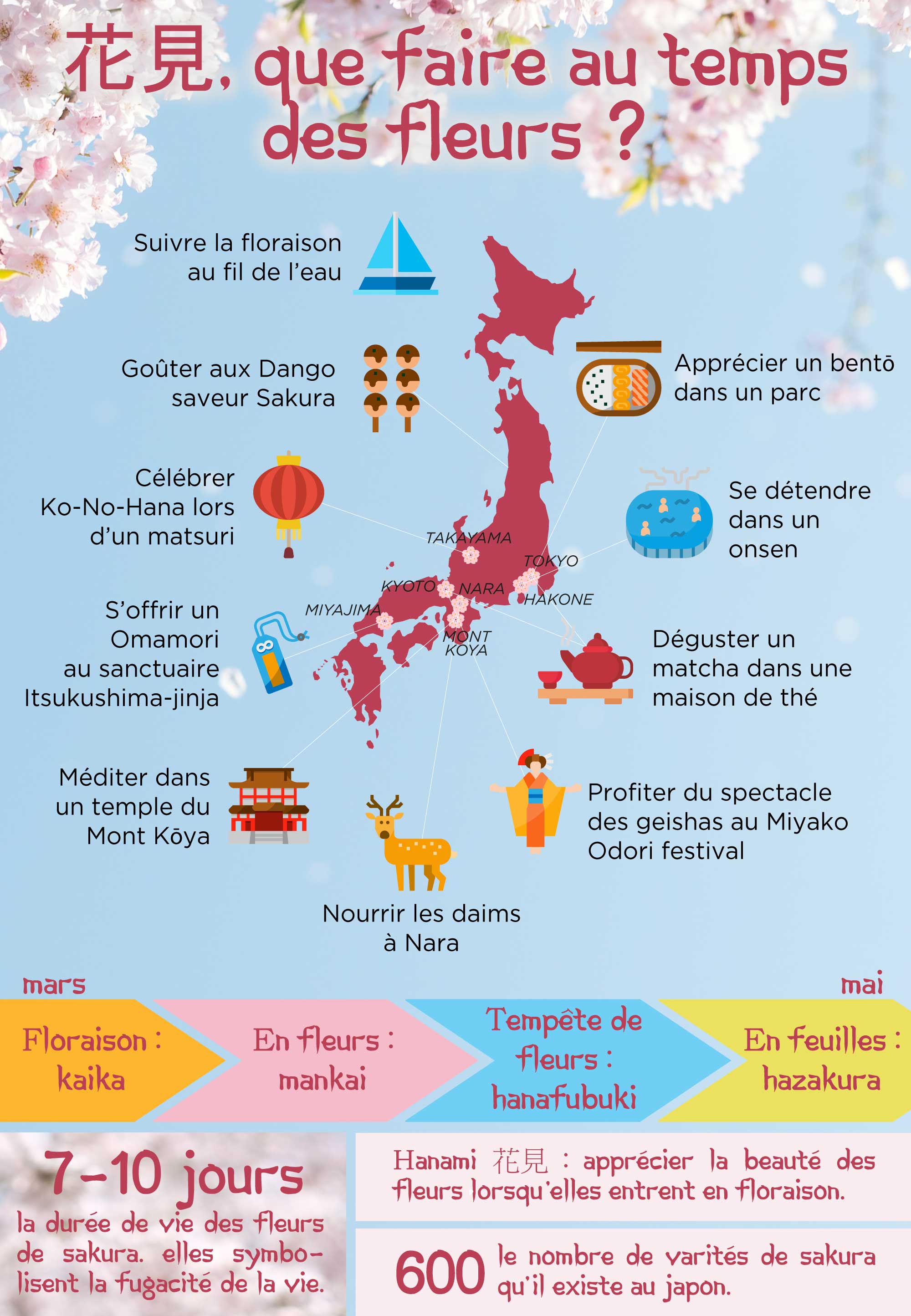 Voyage Japon - Infographie Hanami - Amplitudes