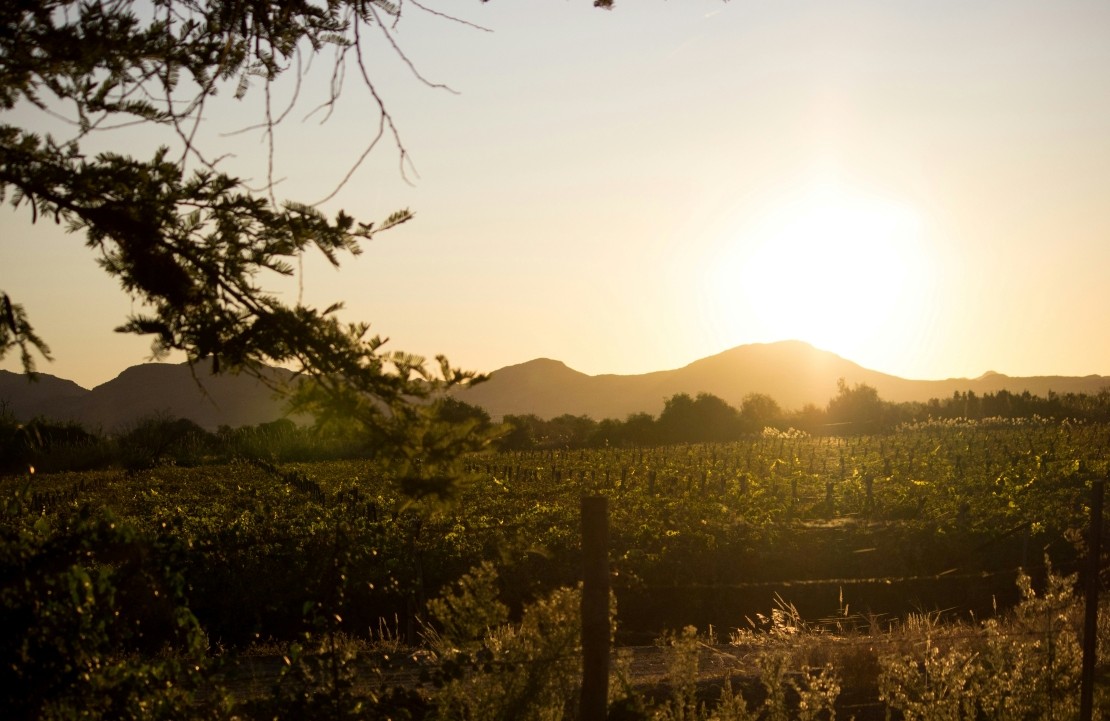 Voyage en Afrique du Sud sur mesure - Le crépuscule sur les vignobles - Amplitudes