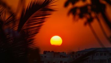 Voyage en hiver à Oman - Une caravane de chameaux - Amplitudes