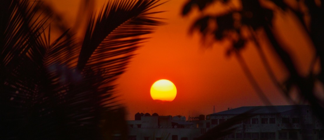 Voyage en hiver à Oman - Une caravane de chameaux - Amplitudes