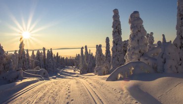 Voyage Laponie - Route de Laponie finlandaise - Amplitudes