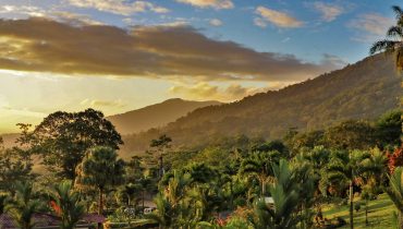 Voyage Costa Rica - Parc National du Volcan Arenal - Amplitudes