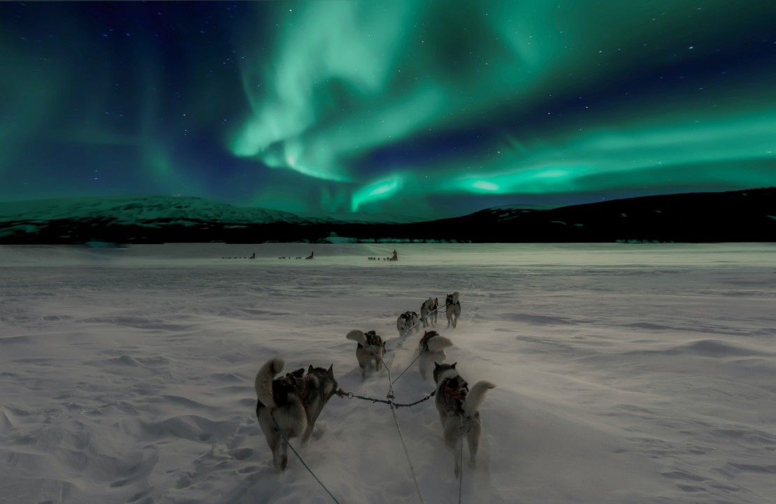 Lune de miel en Norvège - Une sortie en traîneau sous les aurores boréales - Amplitudes