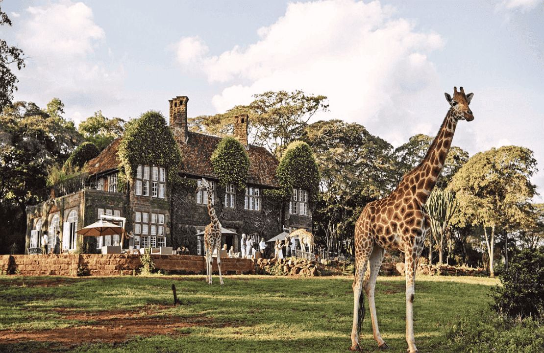 Pays d’Afrique kids-friendly – Les girafes se promènent au Giraffe Manor - Amplitudes