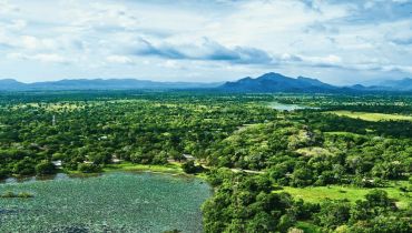 Randonner au Sri Lanka - La vie en vert à Sigiriya - Amplitudes