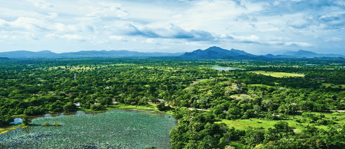 Randonner au Sri Lanka - La vie en vert à Sigiriya - Amplitudes