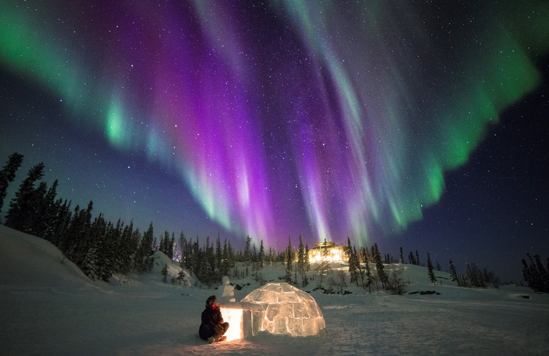 Rencontre glacée au Nord du Canada sous les aurores boréales - Amplitudes