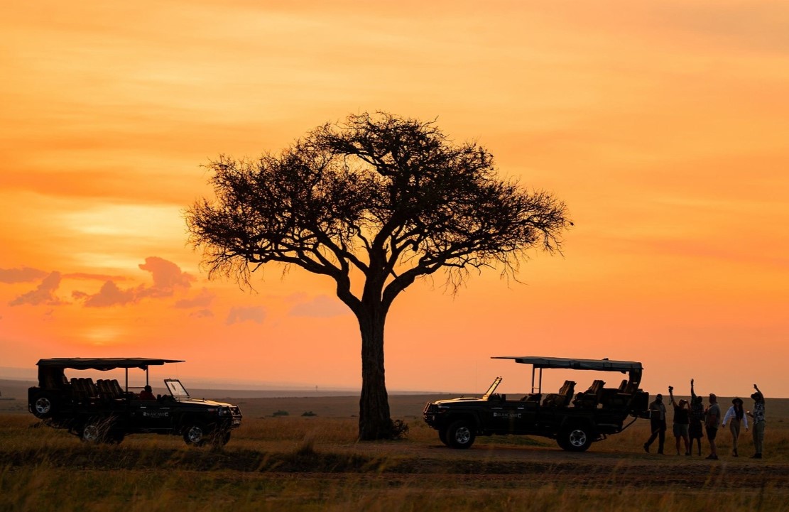 Un voyage au Kenya - Safari dans la savane africaine - Amplitudes
