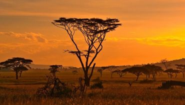 Voyage en Afrique sur mesure - fêtes de Noël - Amplitudes