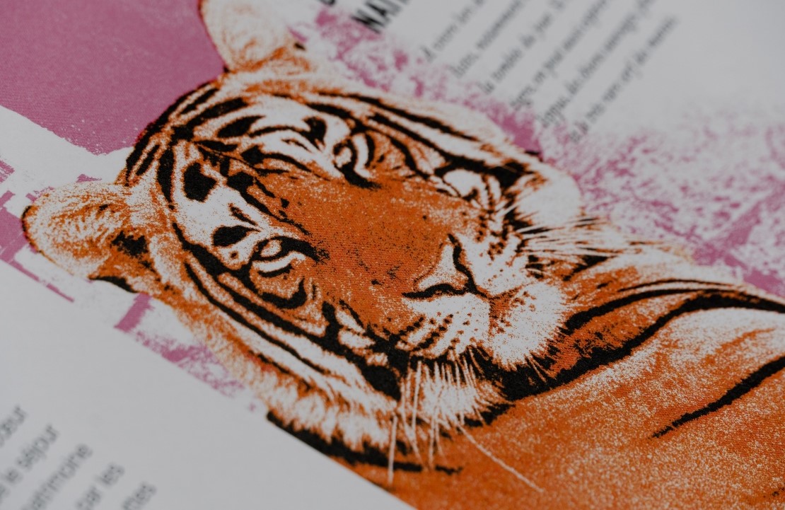 La brochure "Deuxième Escale" — L'inde vibrante - Amplitudes