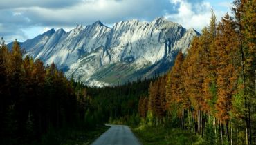 Escapade sur la côte ouest du Canada - En route vers les villes de Colombie-Britannique - Amplitudes