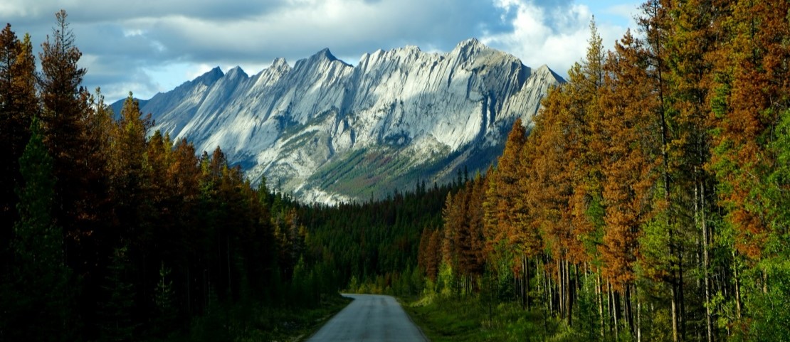 Escapade sur la côte ouest du Canada - En route vers les villes de Colombie-Britannique - Amplitudes