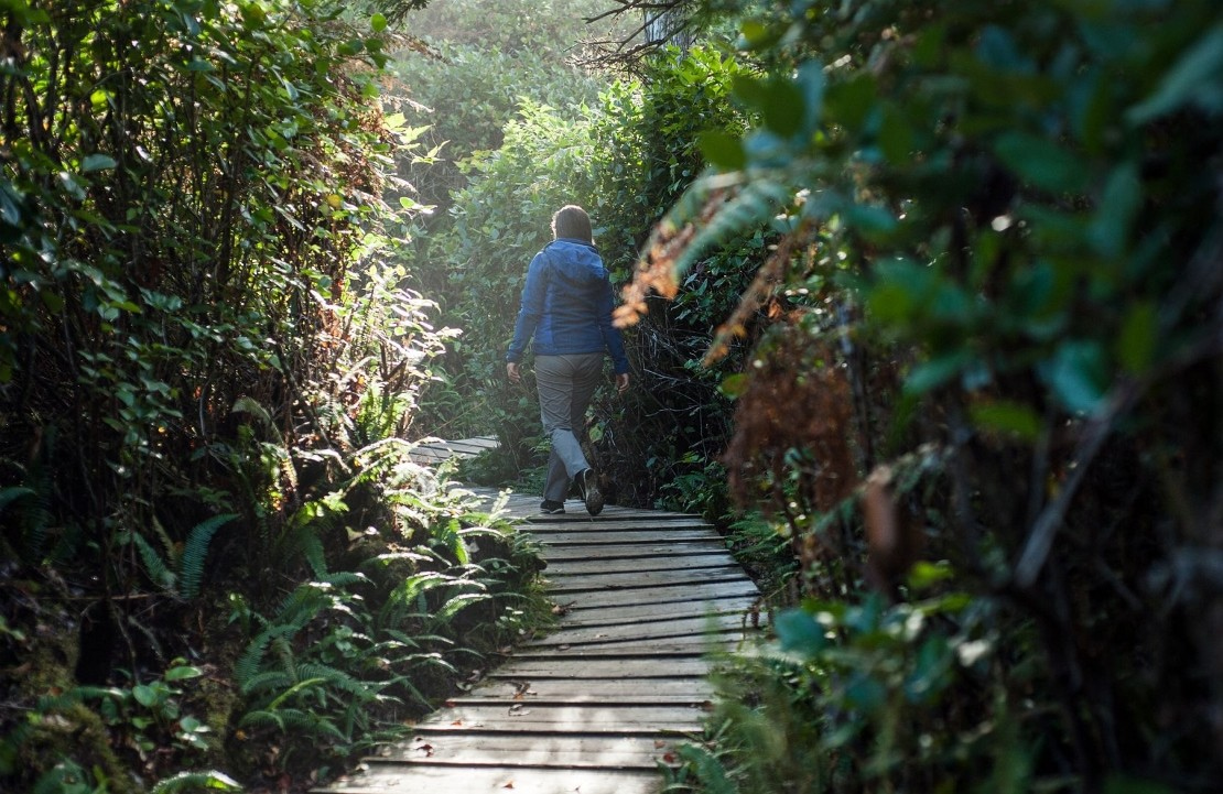 Séjour à Tofino - Balade dans le jardin botanique - Amplitudes