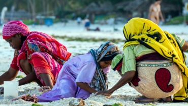 Voyage à Zanzibar sur mesure - Les seaweed mamas - Amplitudes