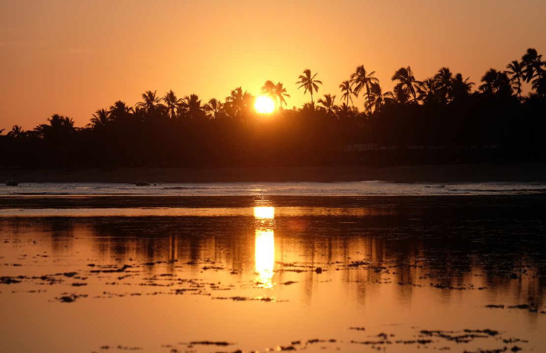 Escapade au Brésil - Les couleurs dorées de Praia do Forte - Amplitudes
