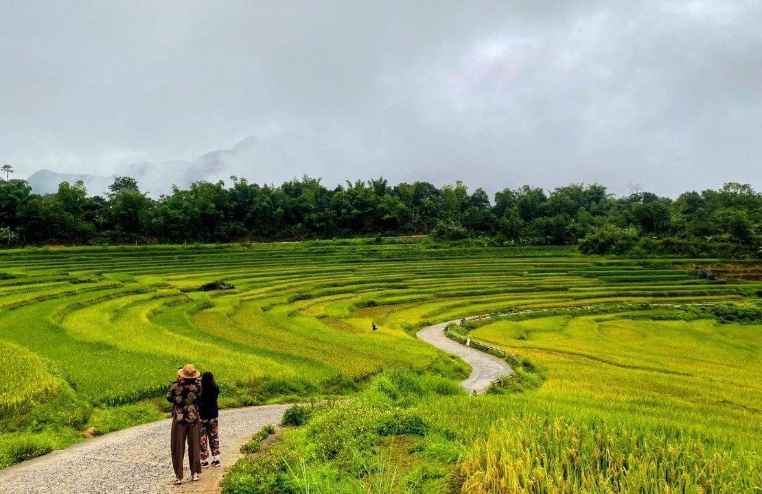 Escapade au Vietnam - Visite des rizières - Amplitudes