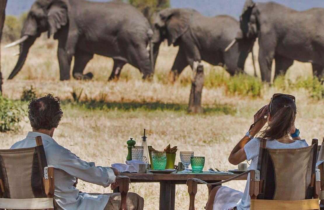 Safari à Chem Chem - à la rencontre des éléphants tanzaniens à Chem Chem- Amplitudes