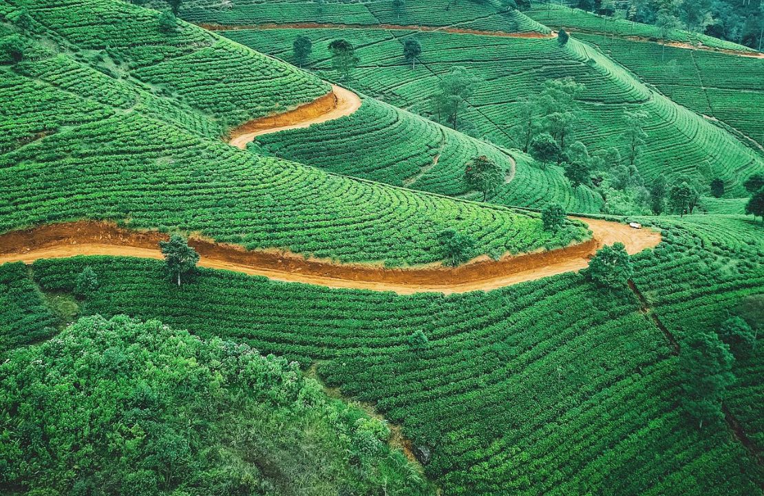 Séjour de 2 semaines au Sri Lanka - Plantations de thé de Nuwara Eliya - Amplitudes