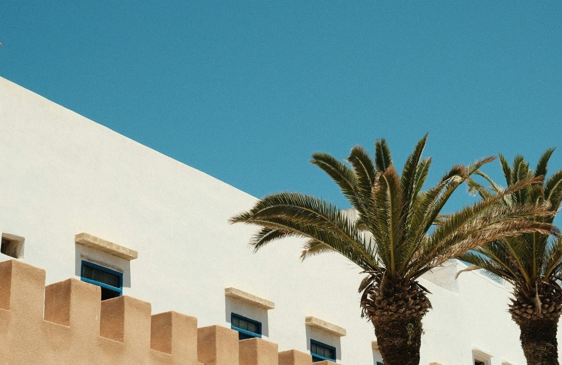 Voyage en agritourisme au Maroc - Les palmiers et les façades blanches - Amplitudes