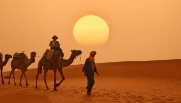 Voyage sur mesure au Maroc - Balade sur les dunes à dos de chameau – Amplitudes
