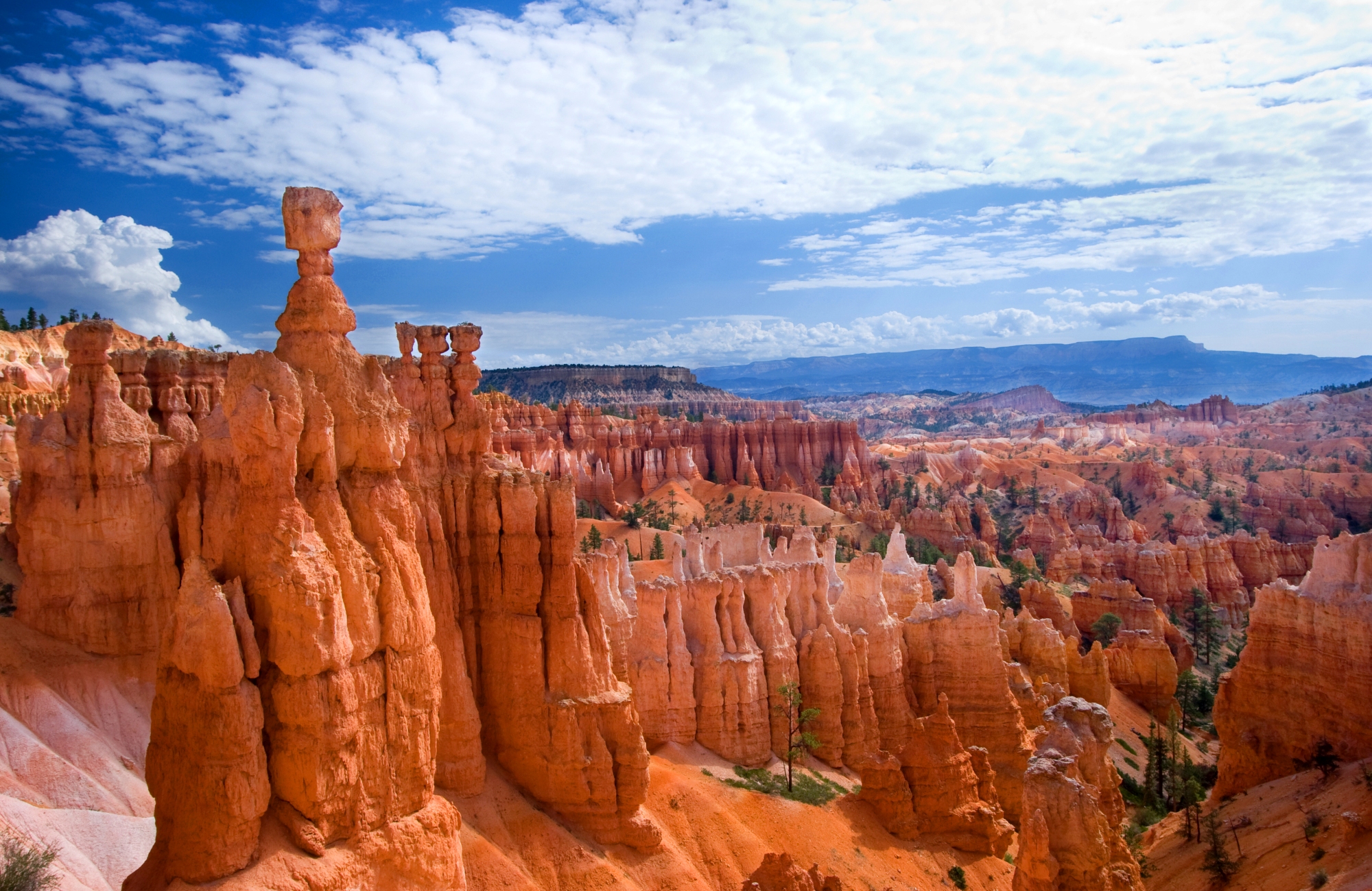 Les pitons rocheux de Bryce Canyon dans l'Utah