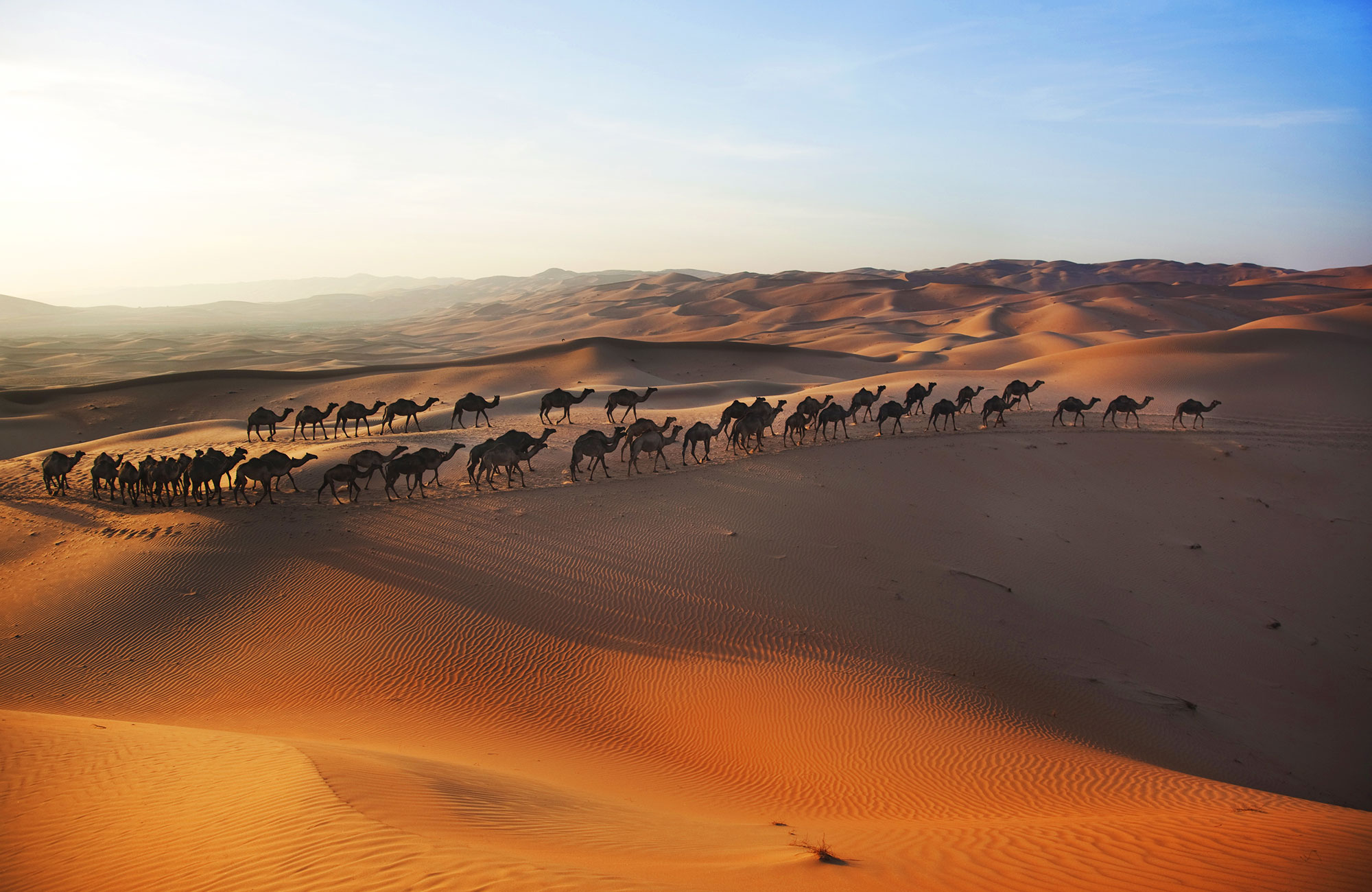 Desert à Abu Dhabi
