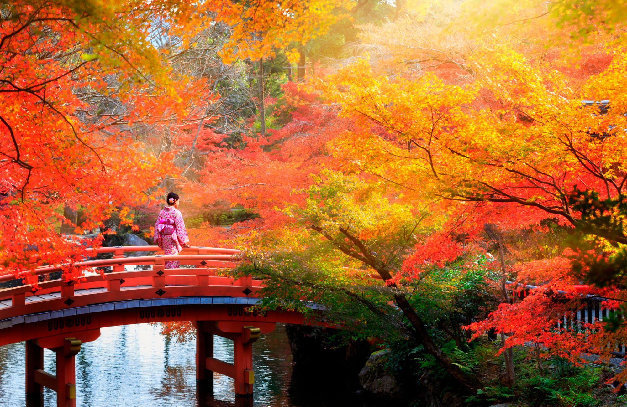 Parc automne à Kyoto