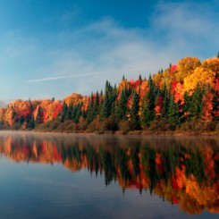 Voyage dans les plus beaux paysages d’automne
