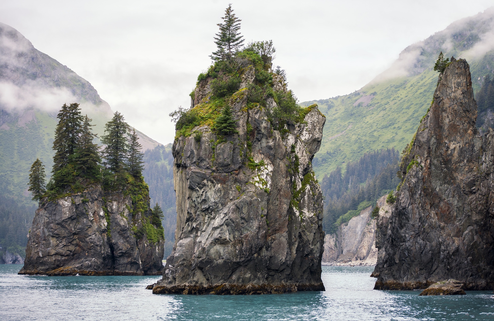 Voyage Alaska - kenai-fjords-national-park-alaska - Amplitudes