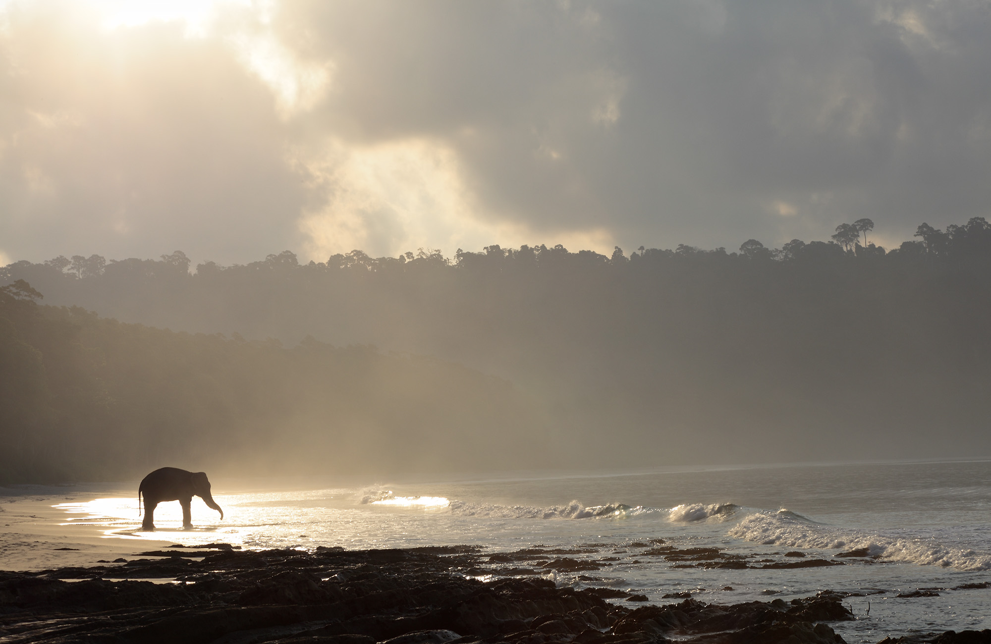 Séjour Inde - Elephants Iles Andaman - Amplitudes