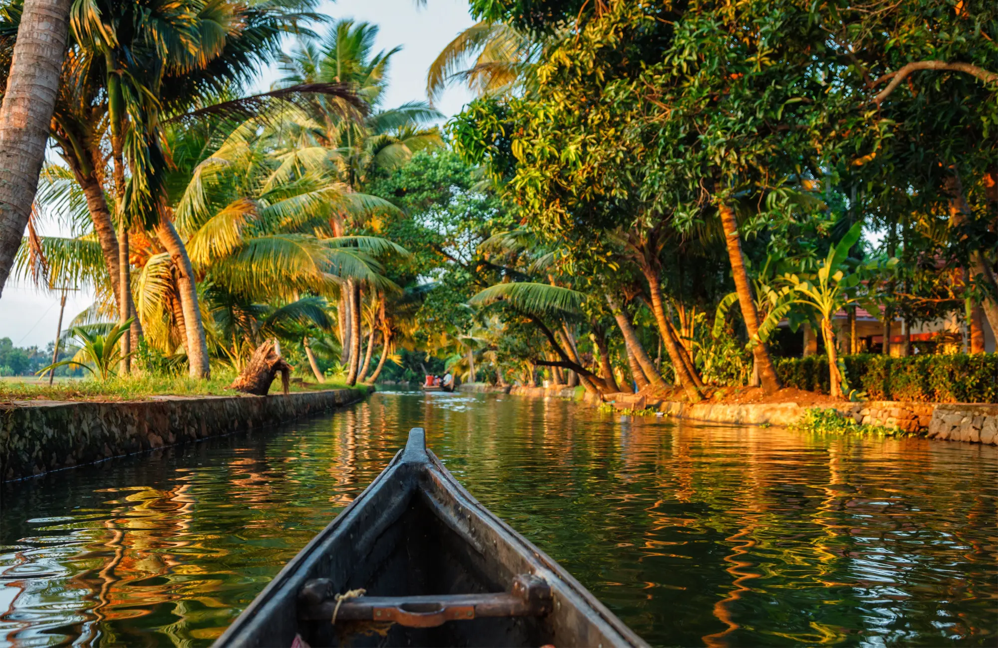 Voyage Inde - Backwaters Kerala - Amplitudes 