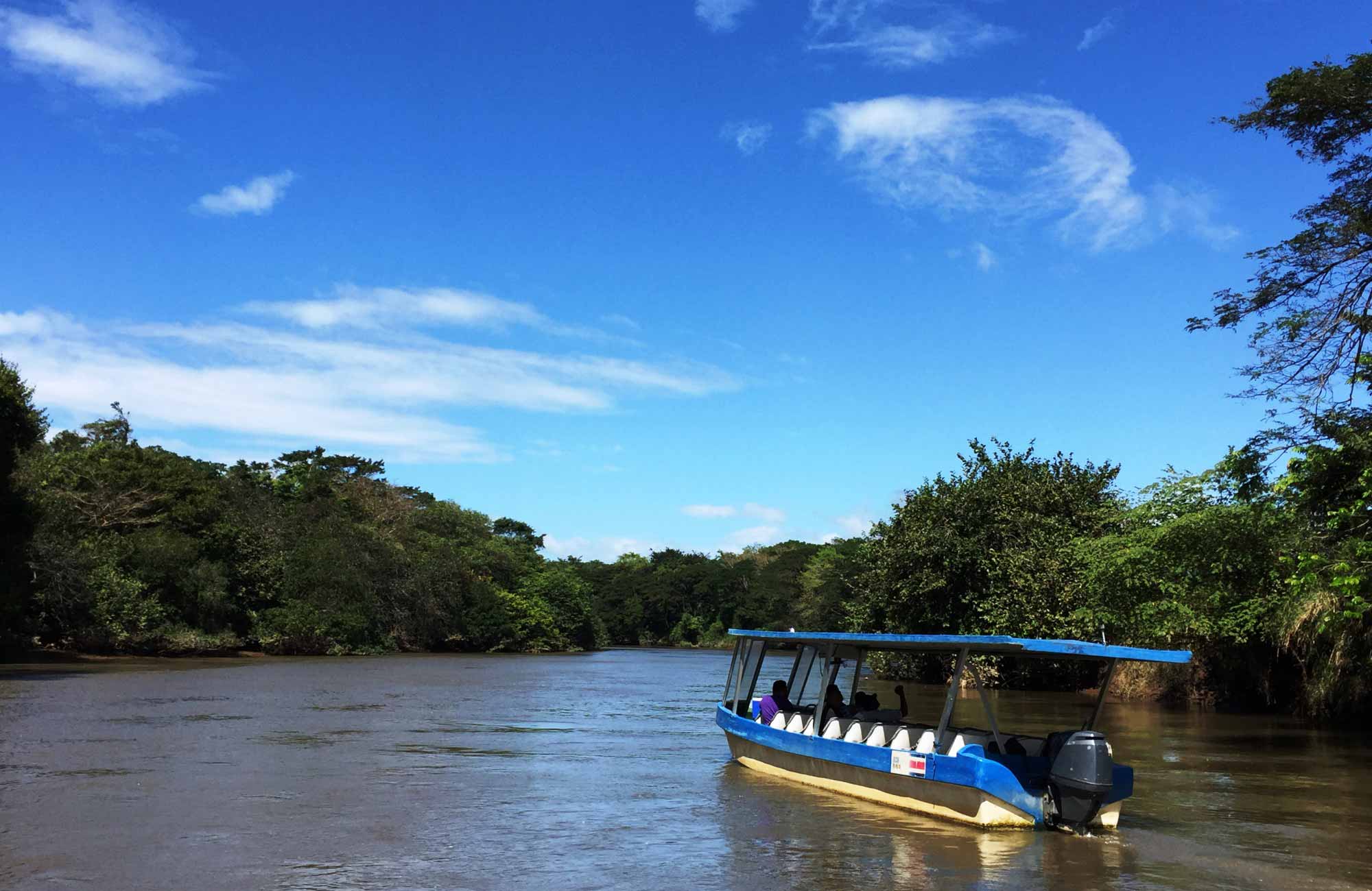 Voyage Costa Rica - Croisière Bebedero Crocodiles