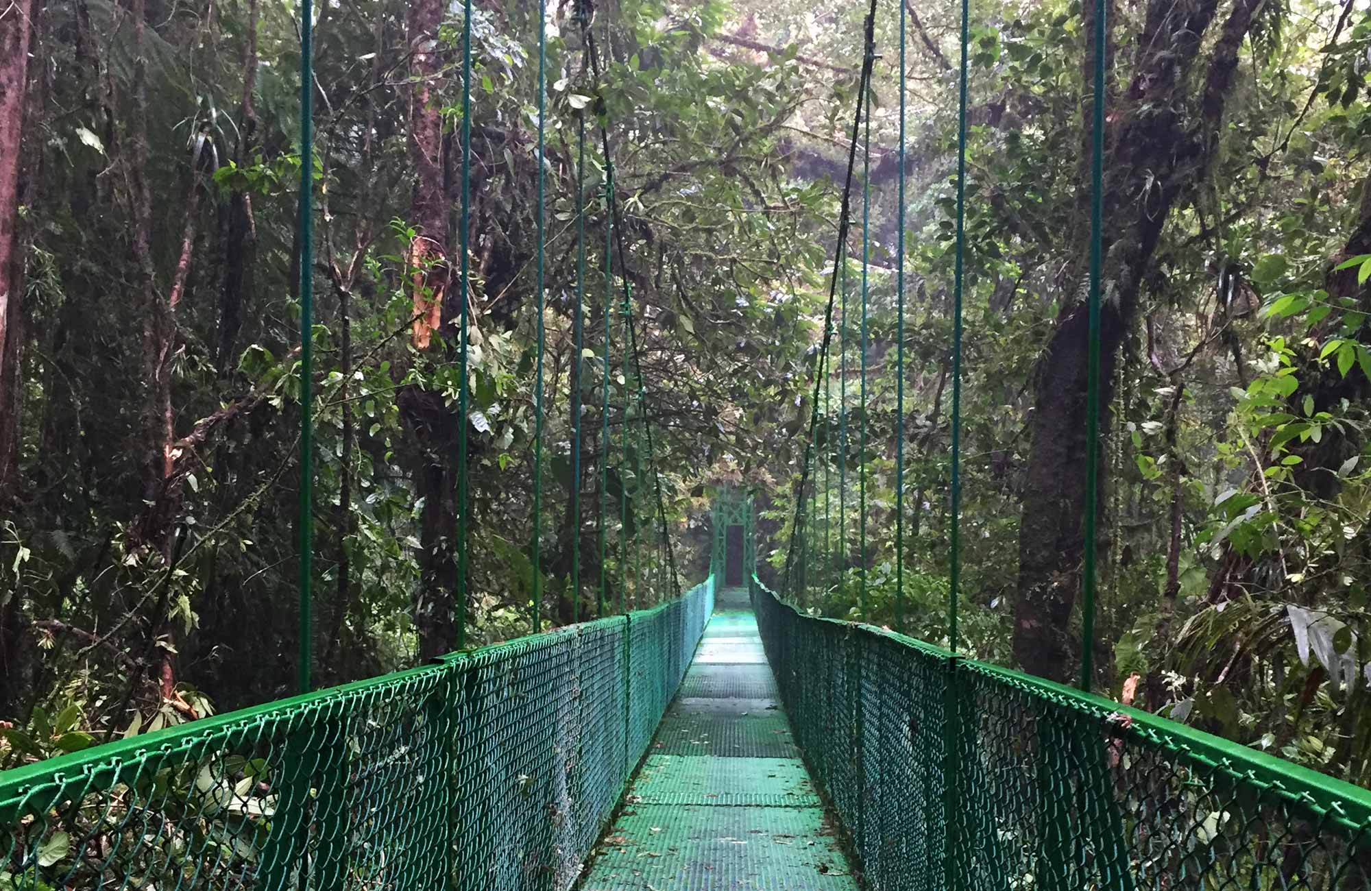 Voyage Costa Rica - Pont suspendu Monteverde - Amplitudes