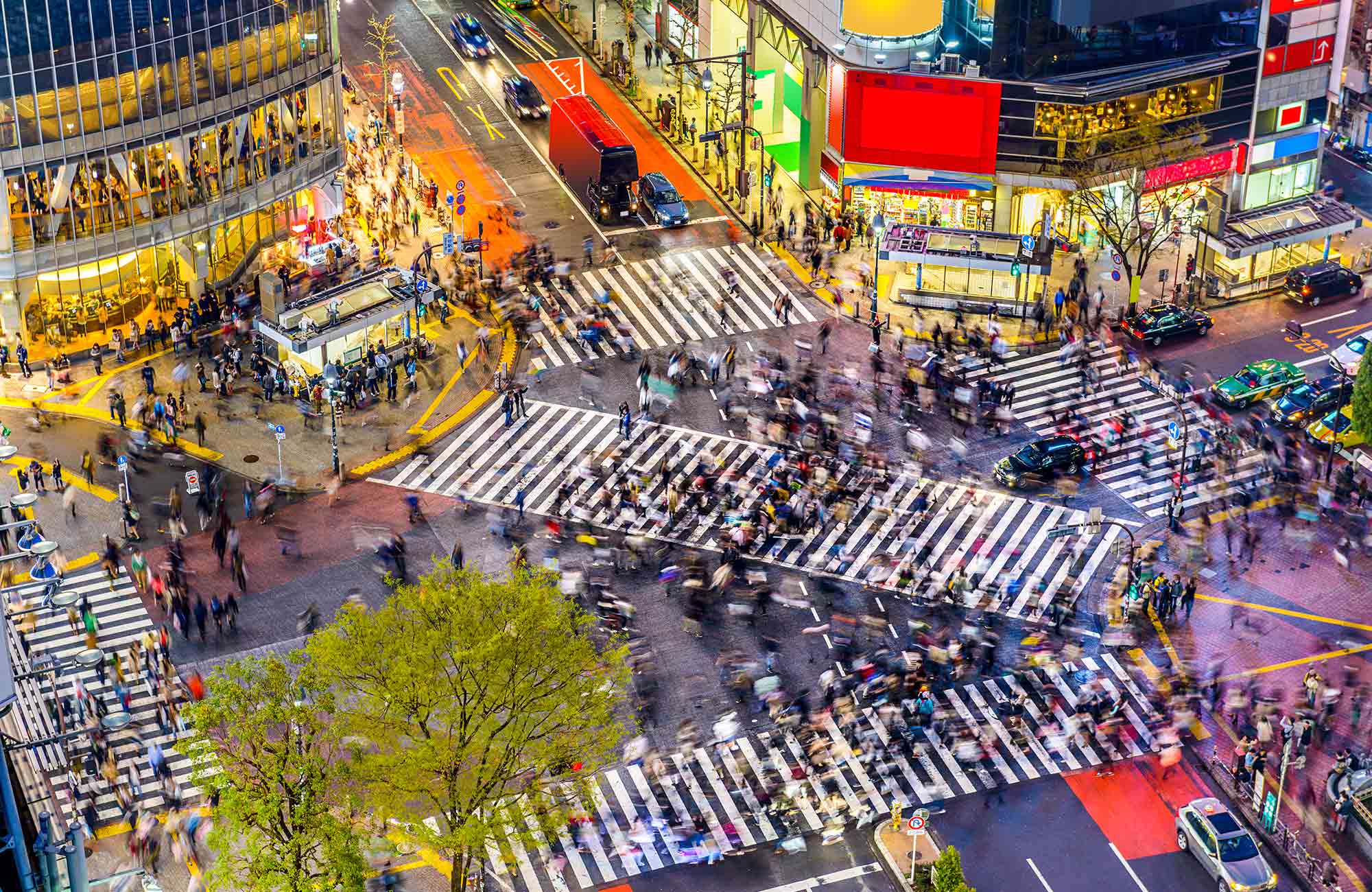 Découvrez notre guide pour se déplacer dans les grandes rues fourmillantes du Japon.