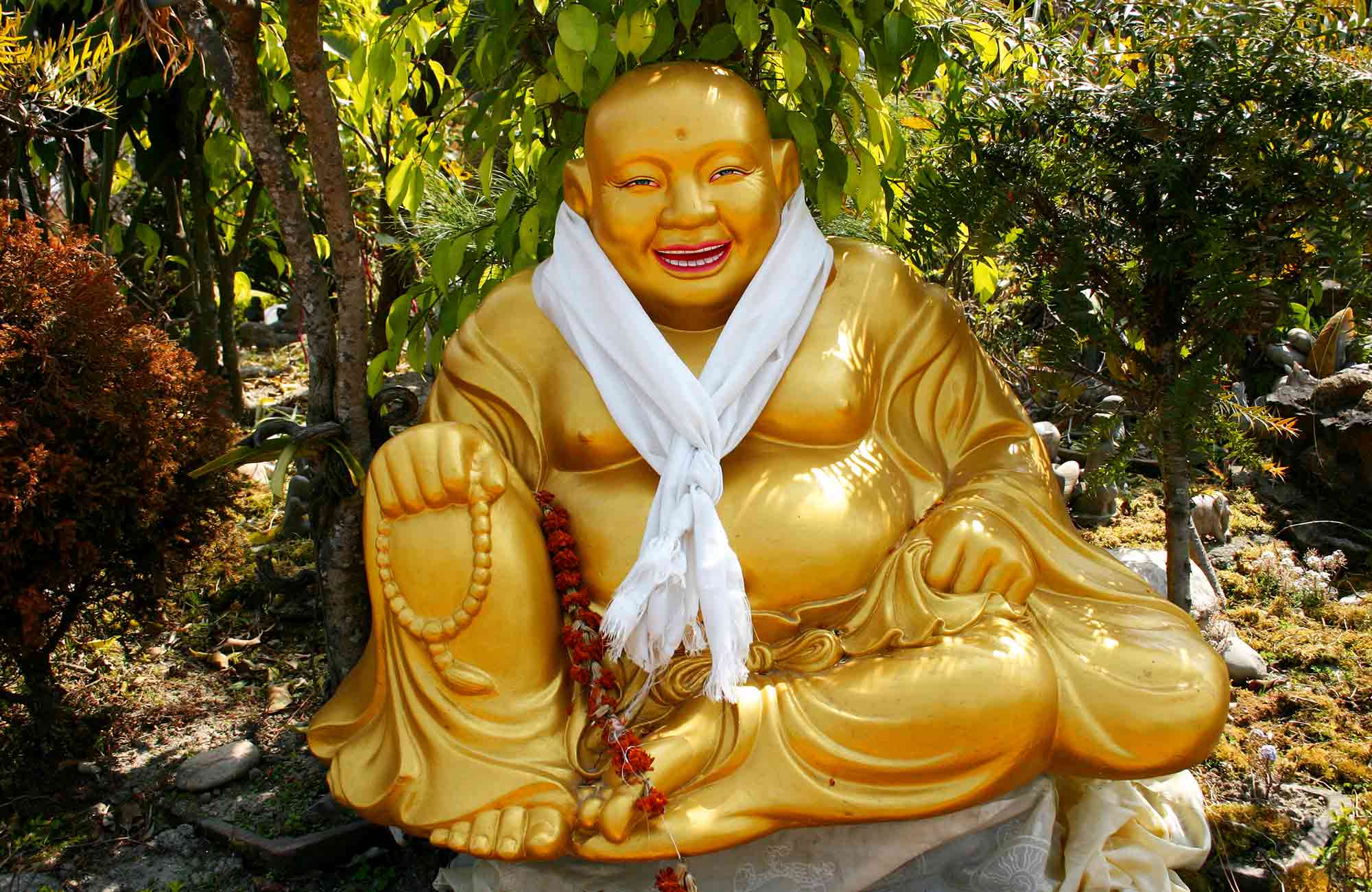Voyage Népal - Statue Bouddha Or - Amplitudes