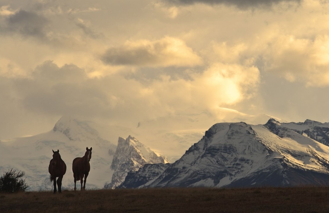Voyage sur mesure en Patagonie - Les glaciers argentins - Amplitudes
