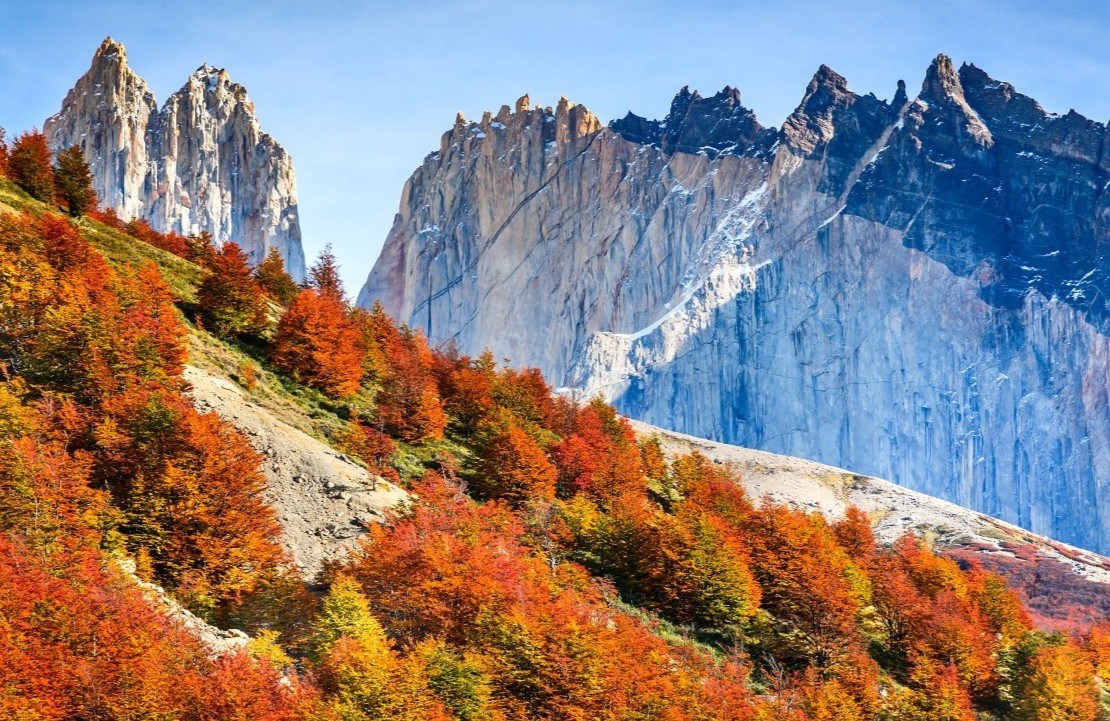 Voyage au Chili sur mesure - Le Torres del Paine - Amplitudes