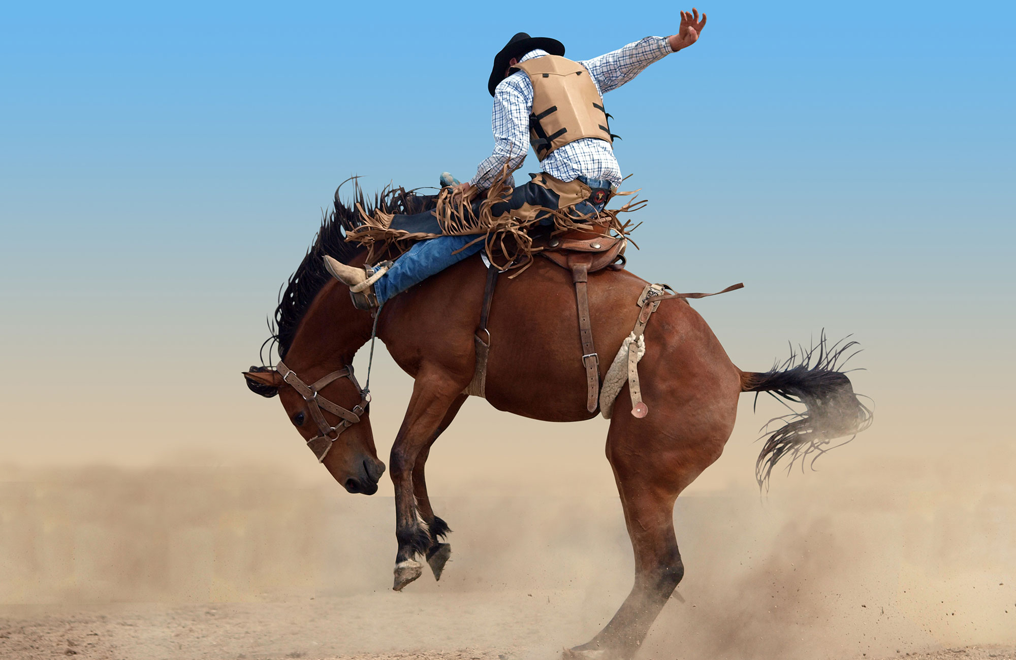 Voyage Ouest américain - Cowboy Rodéo - Amplitudes