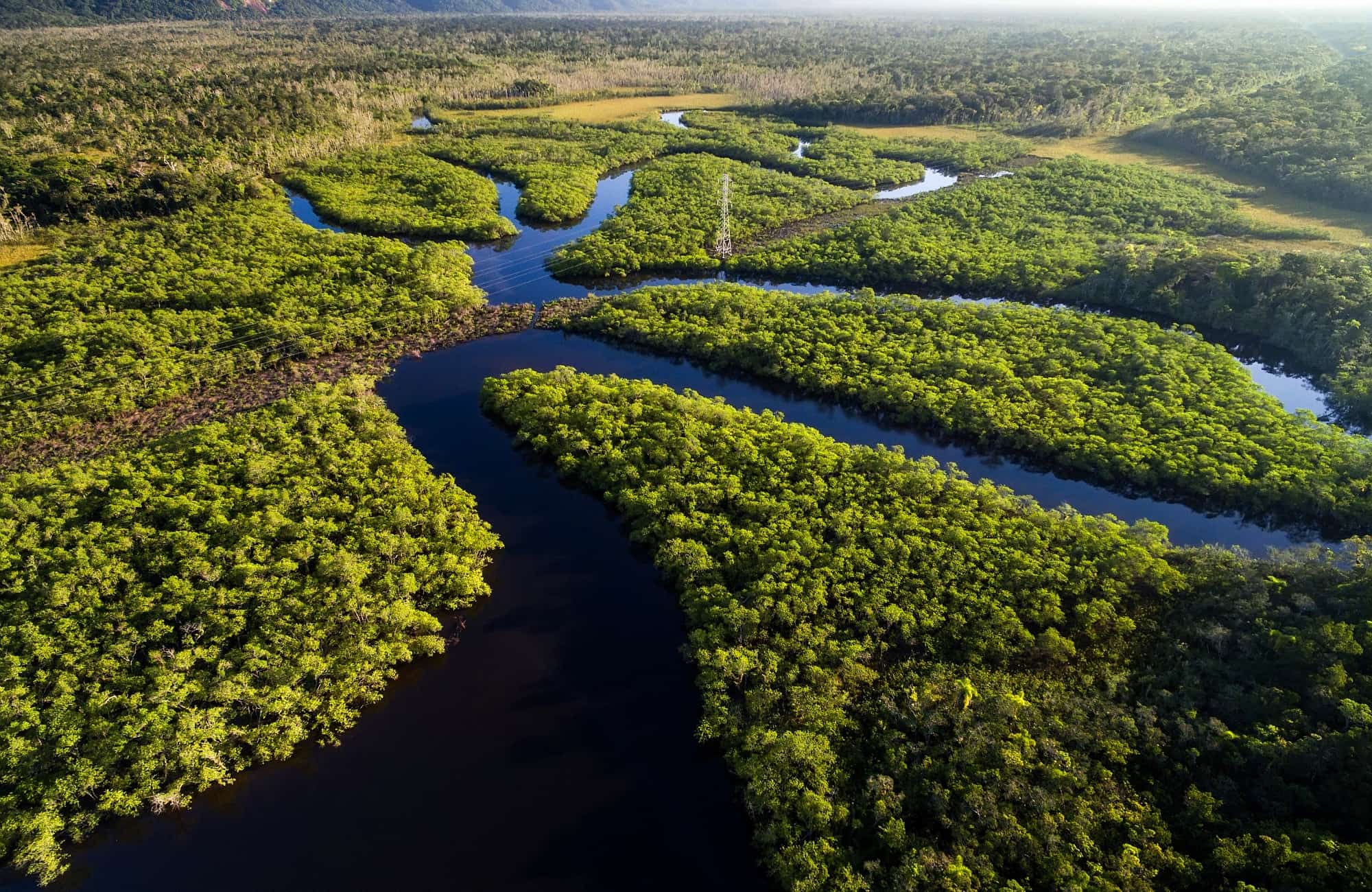 Sur les rives de l'Amazone