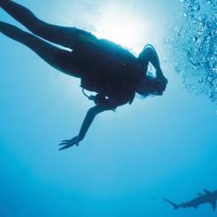 10 spots de plongée exceptionnels
