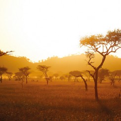 10 photos qui donnent envie de partir en Tanzanie