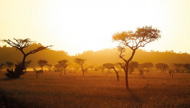 Golden hour sur la savane en Tanzanie avec Amplitudes