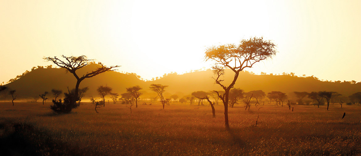 tanzanie paysage