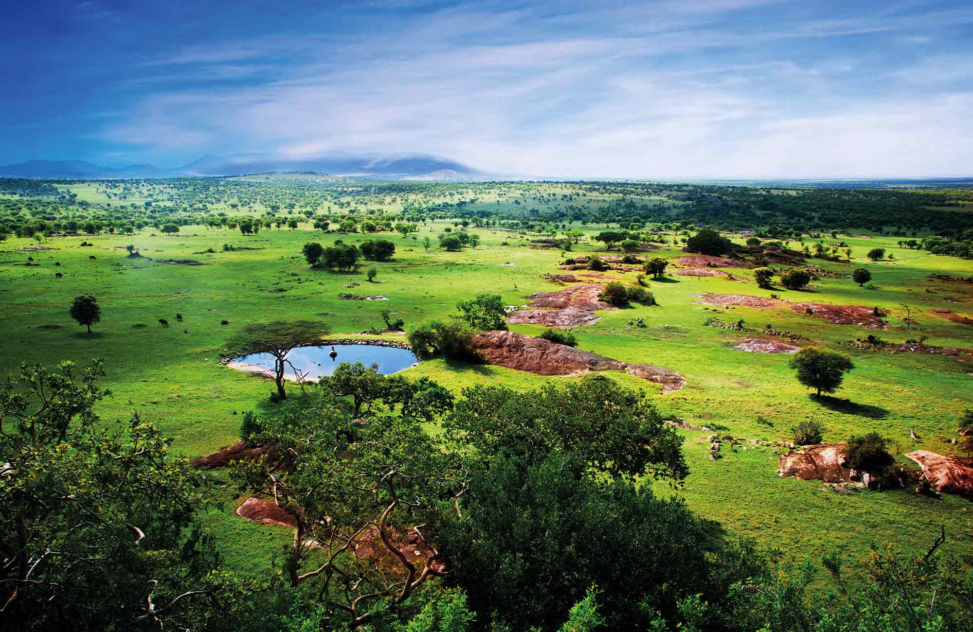 voyager seul en tanzanie