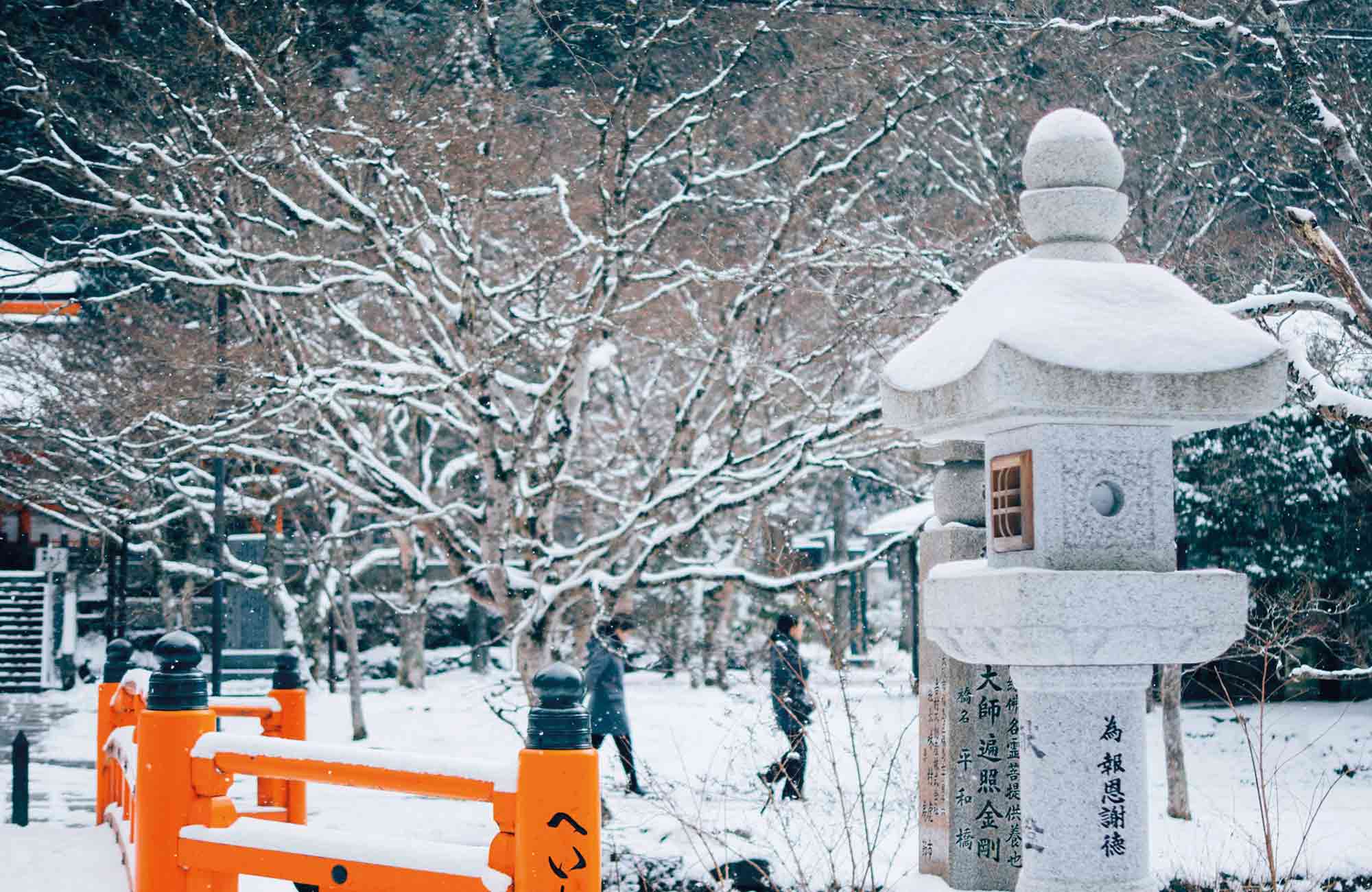 Vêtus d'un manteau blanc, Kyoto, le Mont Fuji ou encore Sapporo se remplissent de magie en période hivernale. 