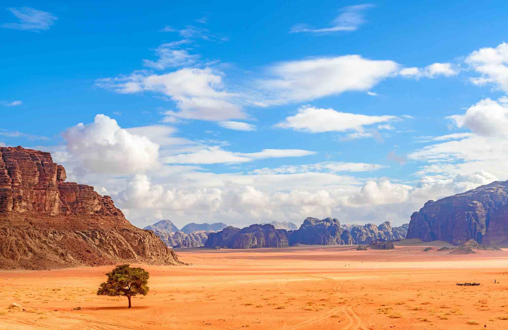 Voyage Jordanie - Desert-Wadi-Rum - Amplitudes