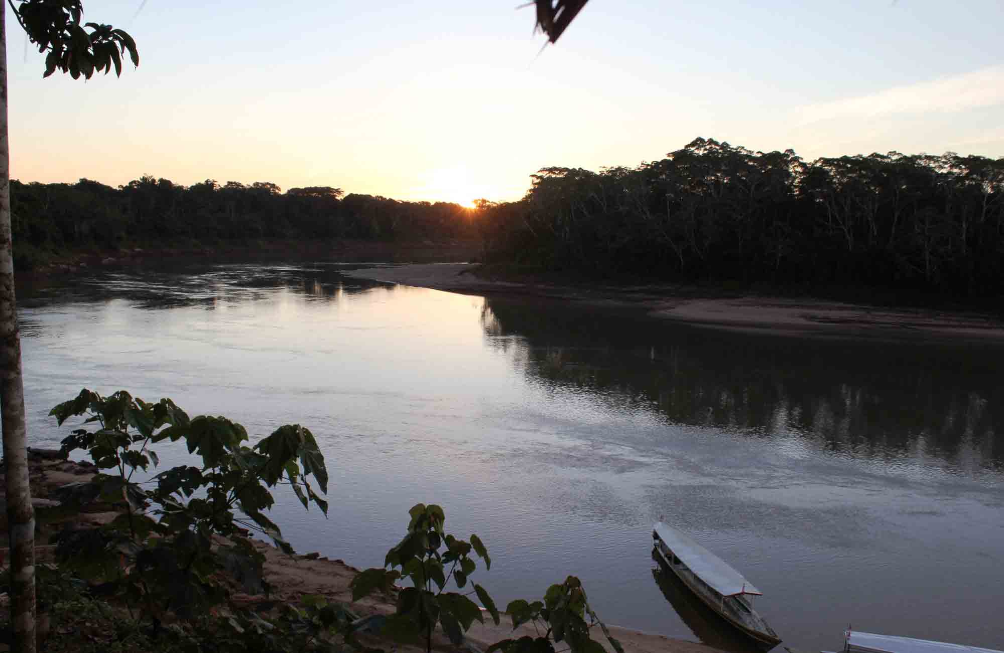 Voyage Amazonie - Forêt - Amplitudes