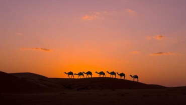 Voyage Oman - Wahiba Sands - Amplitudes
