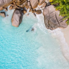 Voyage sur une île déserte, le manuel du Robinson